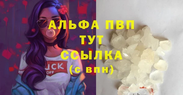 молекула духа Дмитров
