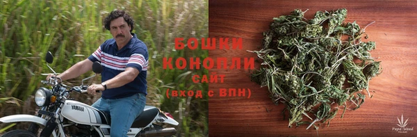 дживик Аша