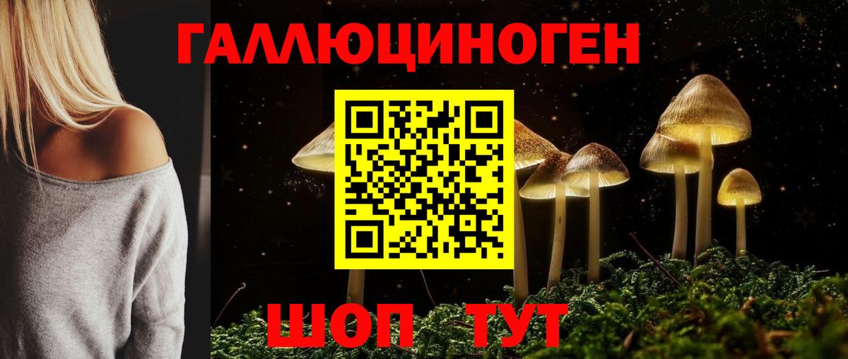 Псилоцибиновые грибы Psilocybine cubensis Дубна
