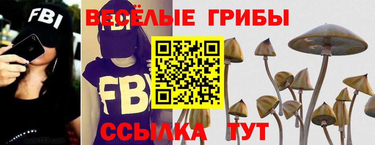 Галлюциногенные грибы ЛСД Дубна