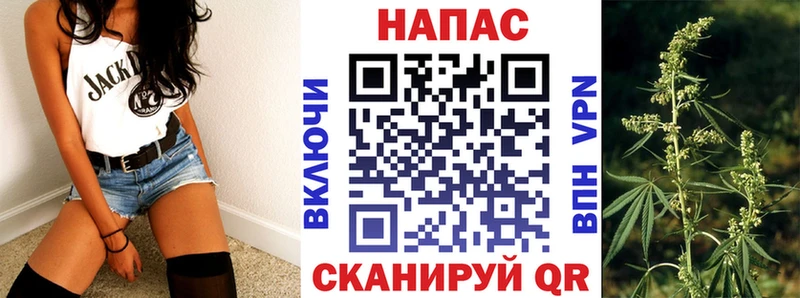 Конопля ГИДРОПОН  как найти закладки  Дубна 